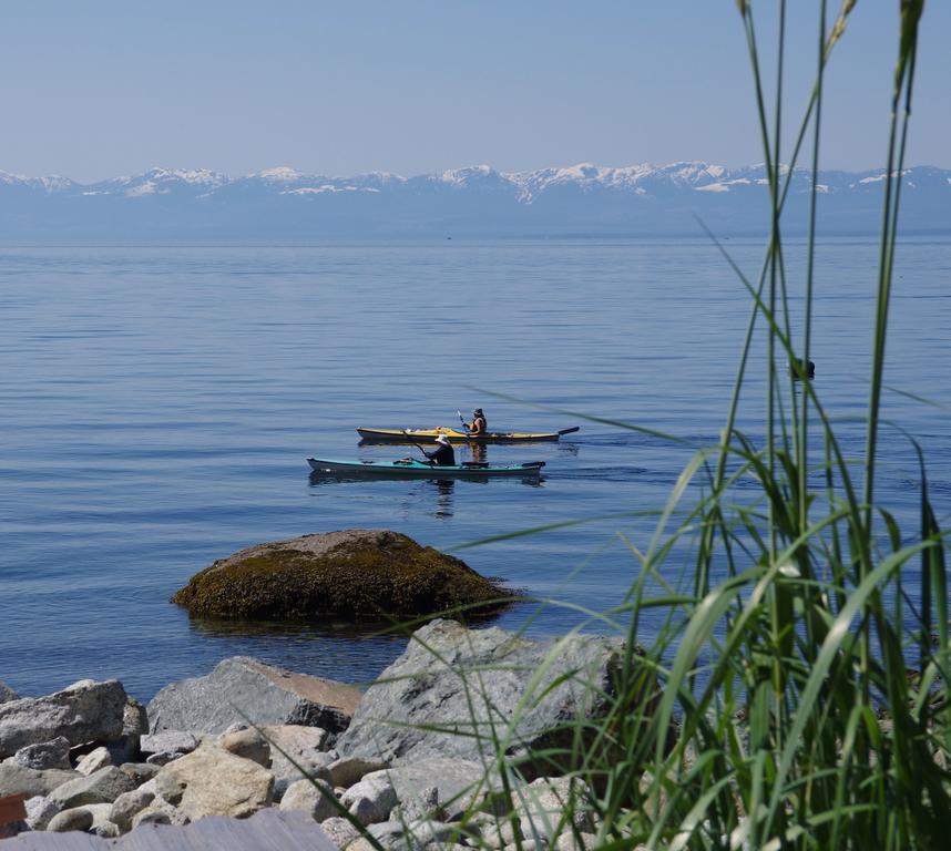 Blitz Beach House Oceanside Suite Powell River Bagian luar foto