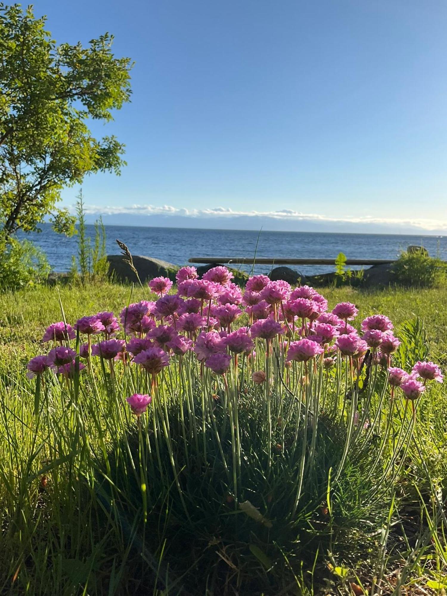 Blitz Beach House Oceanside Suite Powell River Bagian luar foto