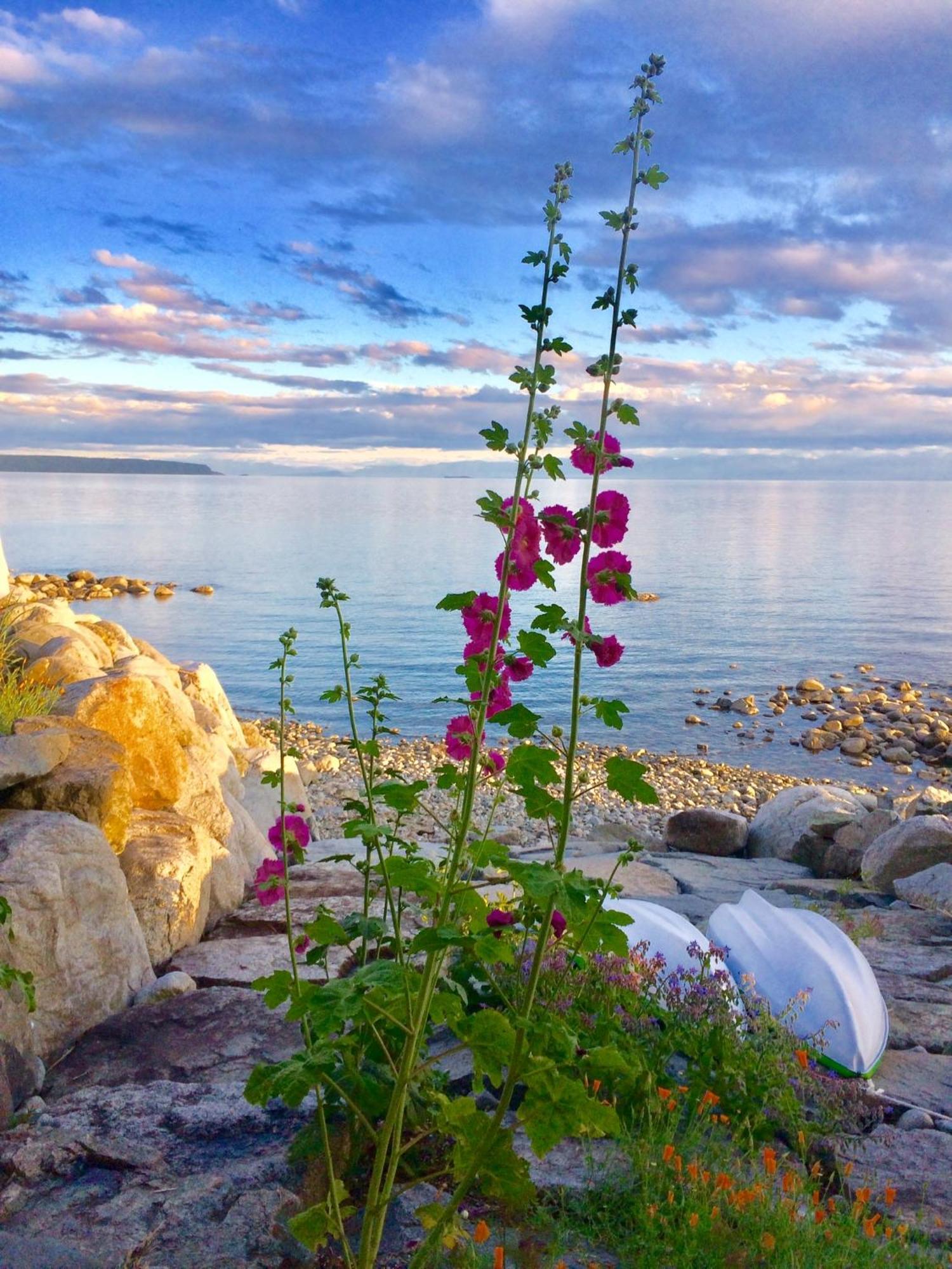 Blitz Beach House Oceanside Suite Powell River Bagian luar foto
